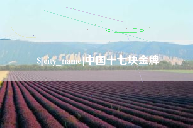 曲靖中国十七块金牌