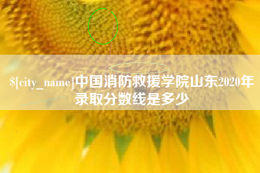 曲靖中国消防救援学院山东2020年录取分数线是多少