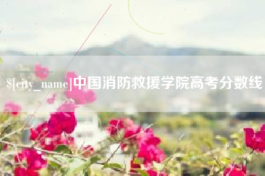 曲靖中国消防救援学院高考分数线