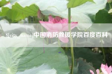 曲靖中国消防救援学院百度百科
