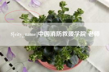 曲靖中国消防救援学院 老师