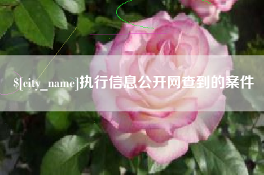 曲靖执行信息公开网查到的案件