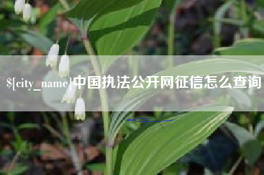 曲靖中国执法公开网征信怎么查询