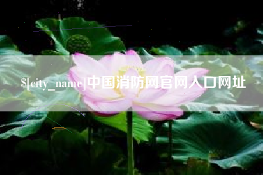 曲靖中国消防网官网入口网址