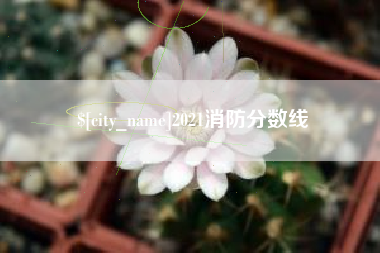 曲靖2021消防分数线