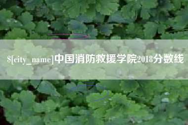 曲靖中国消防救援学院2018分数线