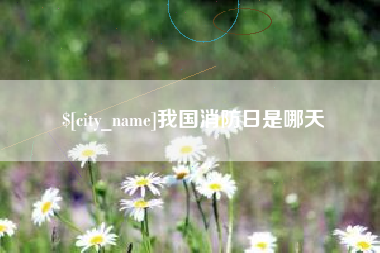 曲靖我国消防日是哪天