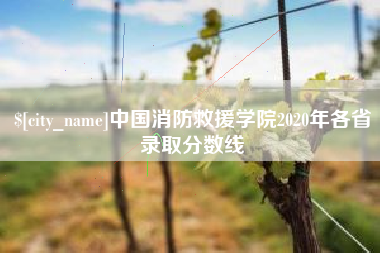 曲靖中国消防救援学院2020年各省录取分数线
