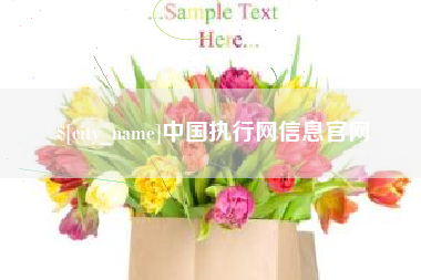 曲靖中国执行网信息官网