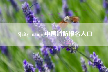 曲靖中国消防报名入口