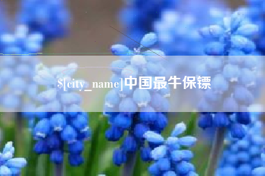曲靖中国最牛保镖