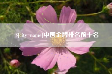 曲靖中国金牌排名前十名