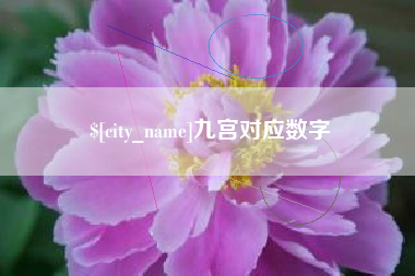 曲靖九宫对应数字