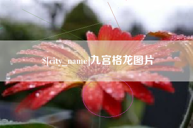 曲靖九宫格龙图片