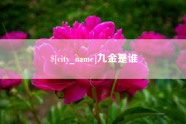 曲靖九金是谁