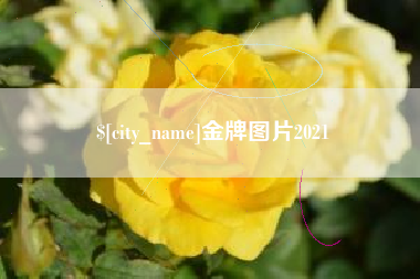 曲靖金牌图片2021