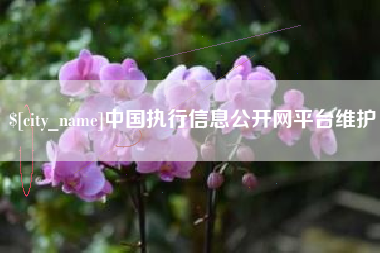 曲靖中国执行信息公开网平台维护