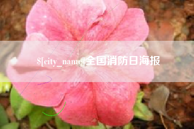 曲靖全国消防日海报