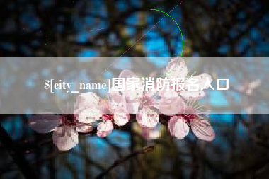 曲靖国家消防报名入口