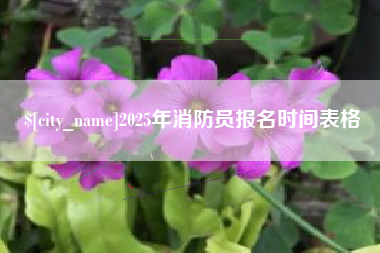 曲靖2025年消防员报名时间表格