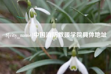 曲靖中国消防救援学院具体地址