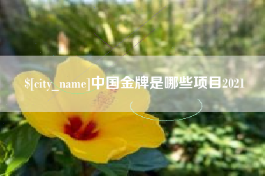 曲靖中国金牌是哪些项目2021