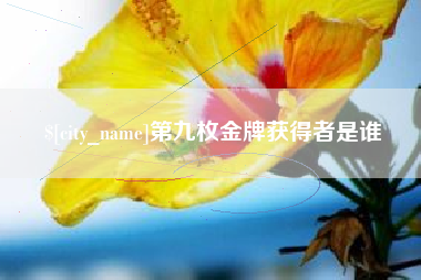曲靖第九枚金牌获得者是谁