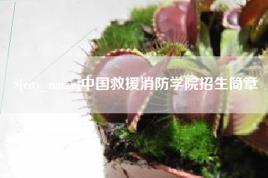 曲靖中国救援消防学院招生简章