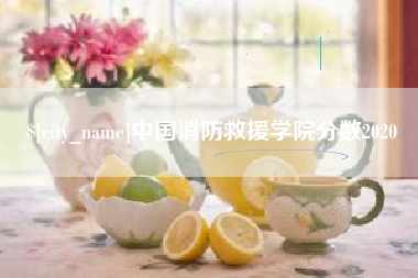 曲靖中国消防救援学院分数2020
