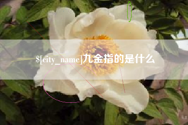 曲靖九金指的是什么