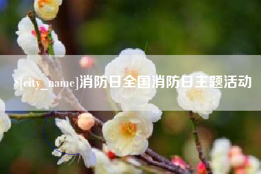 曲靖消防日全国消防日主题活动