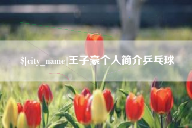 曲靖王子豪个人简介乒乓球