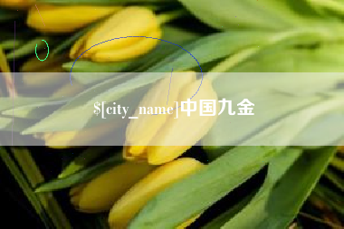 曲靖中国九金