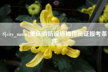 曲靖重庆消防设施操作员证报考条件