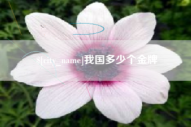 曲靖我国多少个金牌