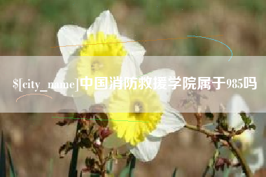 曲靖中国消防救援学院属于985吗