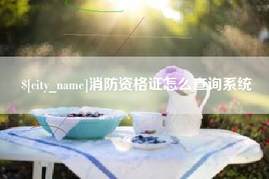 曲靖消防资格证怎么查询系统