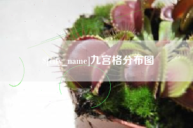 曲靖九宫格分布图