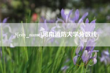 曲靖河南消防大学分数线