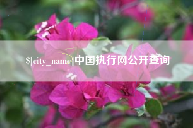 曲靖中国执行网公开查询