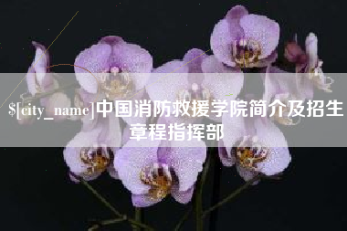 曲靖中国消防救援学院简介及招生章程指挥部