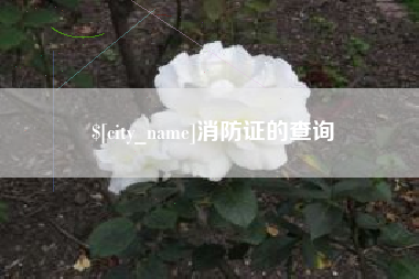 曲靖消防证的查询