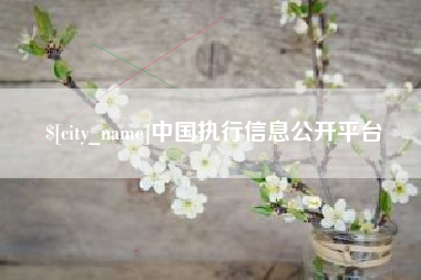 曲靖中国执行信息公开平台