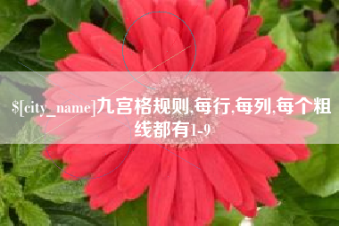 曲靖九宫格规则,每行,每列,每个粗线都有1-9