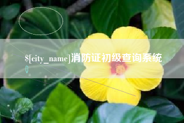 曲靖消防证初级查询系统