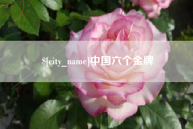 曲靖中国六个金牌
