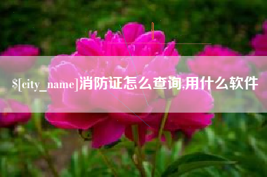 曲靖消防证怎么查询,用什么软件