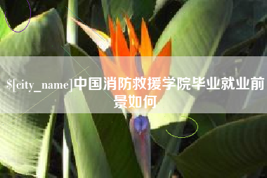 曲靖中国消防救援学院毕业就业前景如何