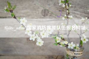 曲靖国家消防救援队伍报名网址