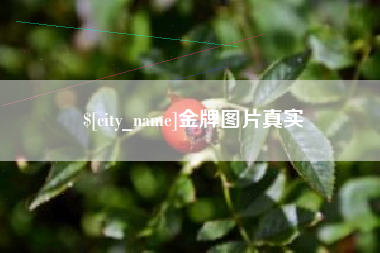 曲靖金牌图片真实